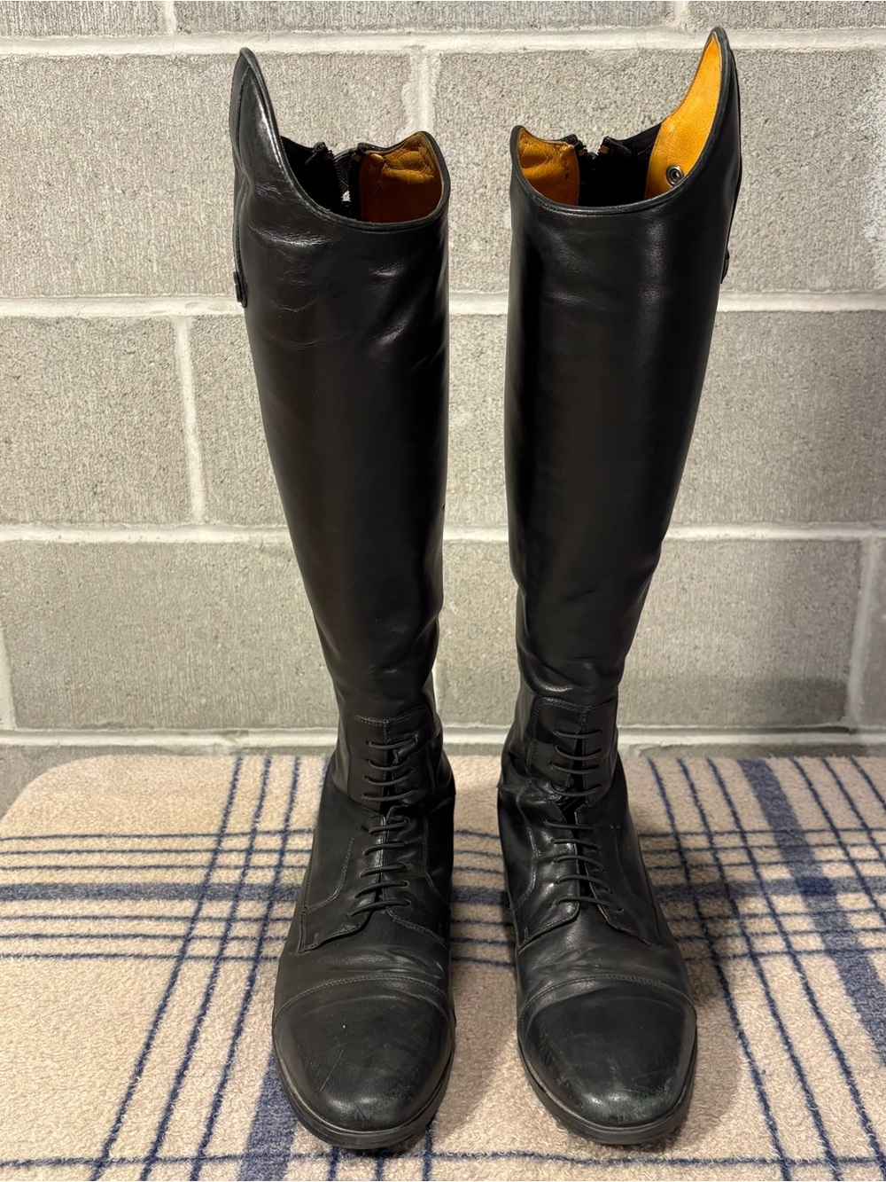Ovation Maestro tall equestrian field boots.